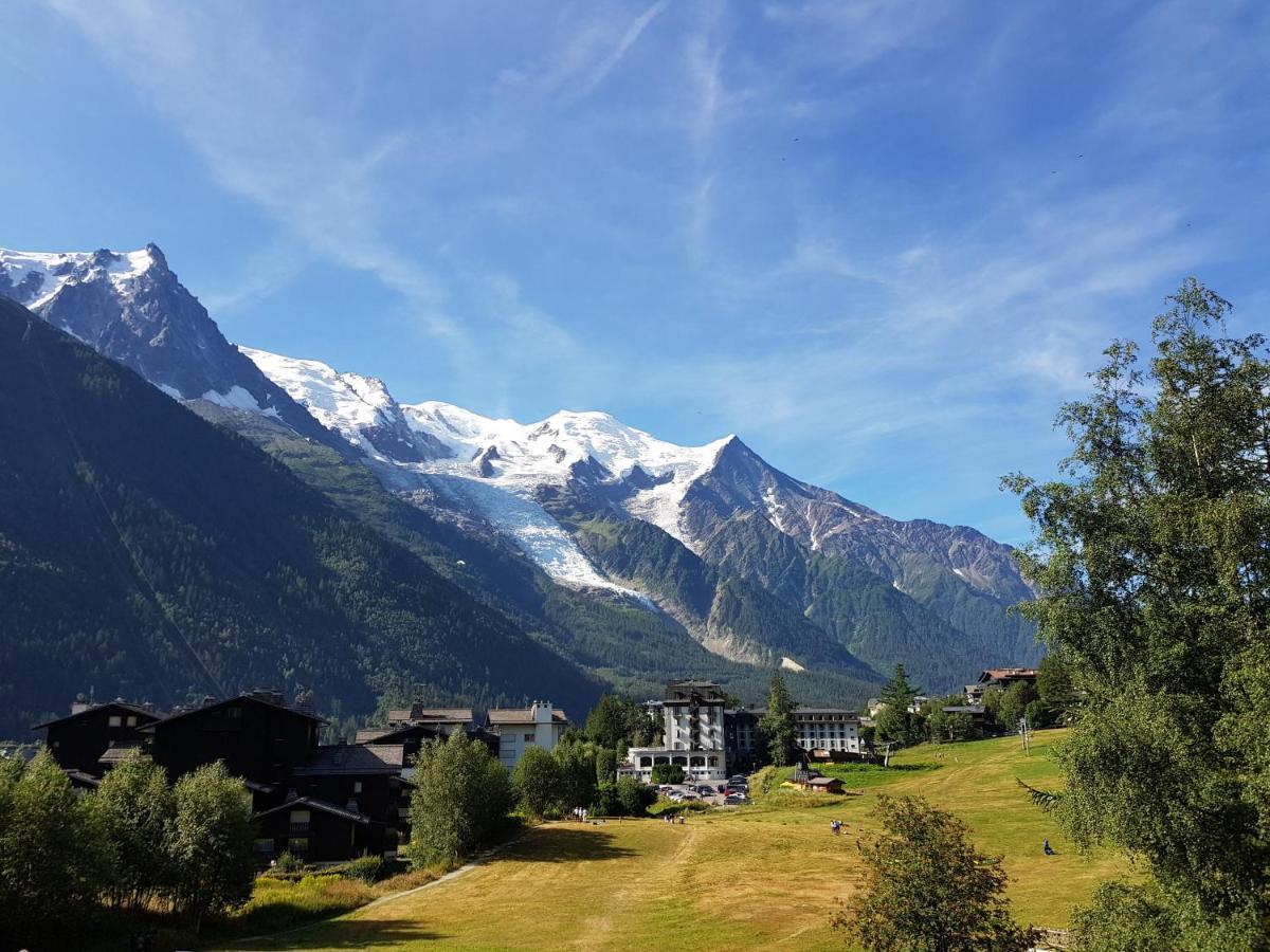 Chalet Hotel La Sapiniere Σαμονί Εξωτερικό φωτογραφία