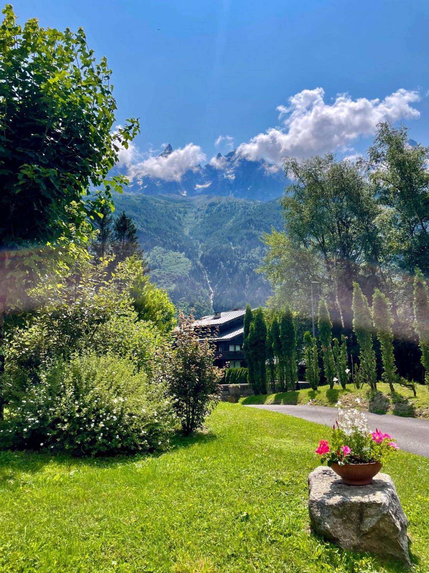 Chalet Hotel La Sapiniere Σαμονί Εξωτερικό φωτογραφία