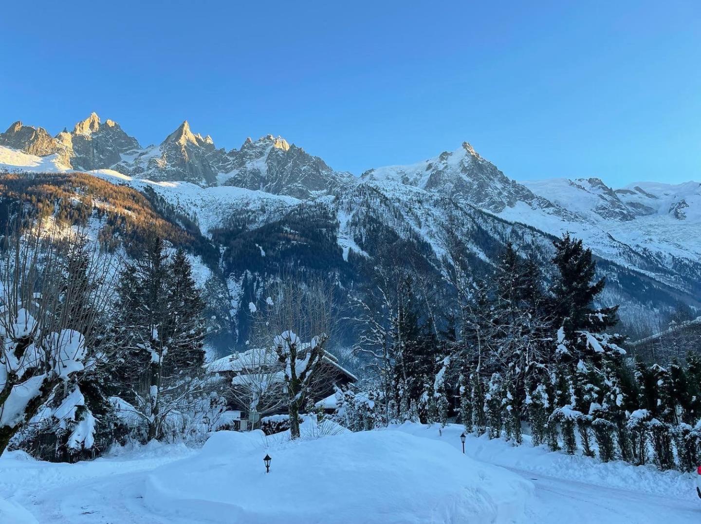 Chalet Hotel La Sapiniere Σαμονί Εξωτερικό φωτογραφία